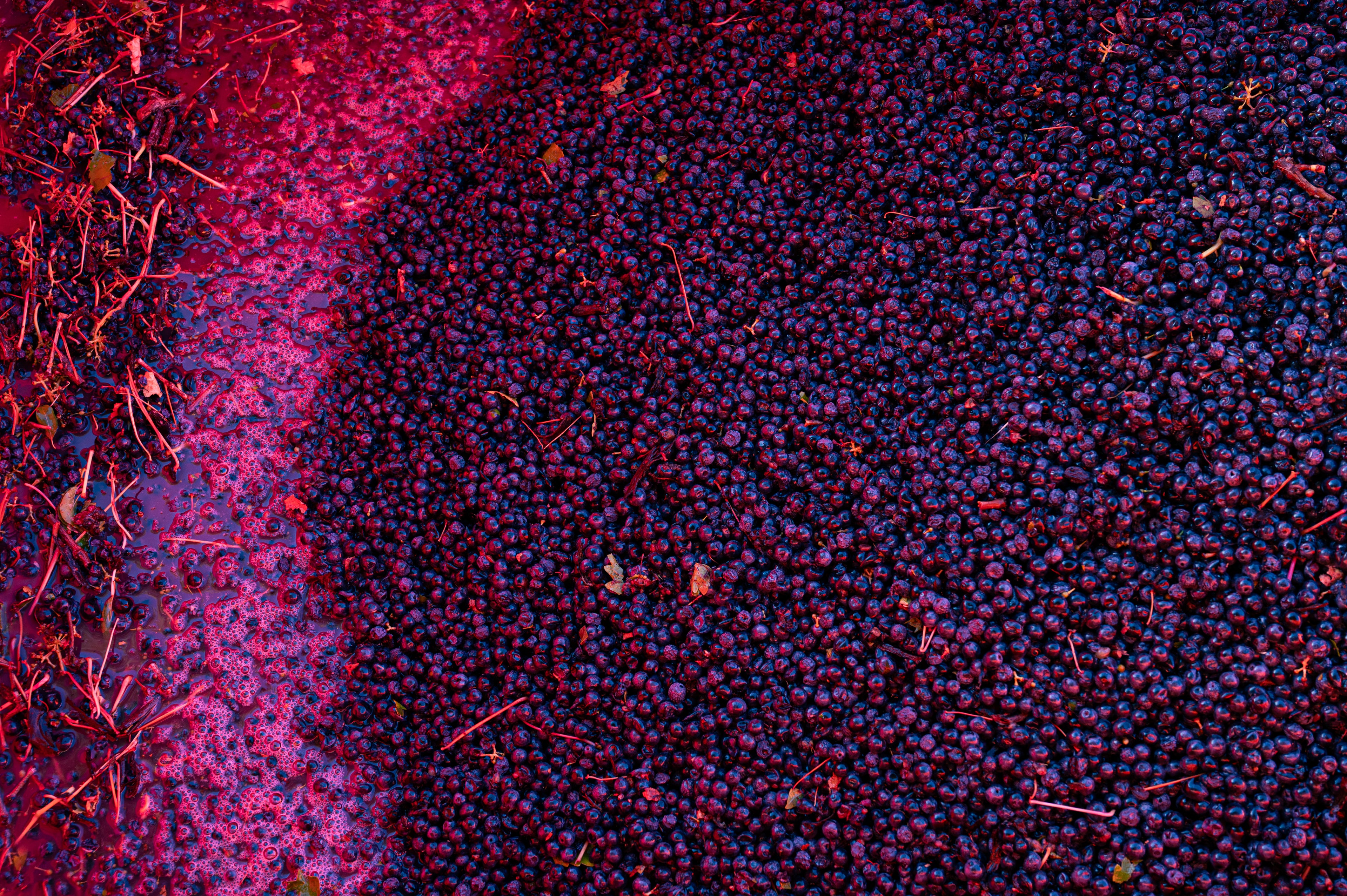 One Land, Infinite Expressions